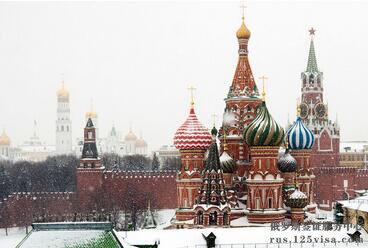 俄罗斯电子签证可以查询状态吗？
